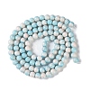 Baking Paint Glass Bead Strands GLAA-H031-01B-10-3