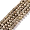 Natural Maifanite/Maifan Stone Beads Strands X-G-I187-6mm-01-1