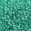 Glass Cylinder Beads SEED-L011-11B-17-3