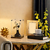 Transparent Acrylic Minifigure Display Cases with Wooden Base ODIS-WH0030-298A-5