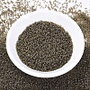MIYUKI Delica Beads SEED-J020-DB0384-2