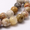 Natural Crazy Lace Agate Beads Strands X-G-D840-70-8mm-3