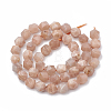 Natural Sunstone Beads Strands G-S332-10mm-008-3