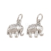 Brass Micro Pave Clear Cubic Zirconia Charms KK-H292-56B-P-1
