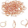 304 Stainless Steel Leverback Earring Findings STAS-UN0001-67RG-7