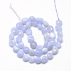 Natural Blue Lace Agate Beads Strands X-G-R445-8x10-10-2