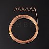 DIY Wire Wrapped Jewelry Kits DIY-BC0011-81B-03-3