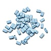 2-Hole Baking Paint Glass Seed Beads SEED-S023-17B-46-1