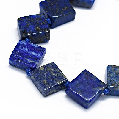 Natural Lapis Lazuli Beads Strands G-F725-31-1