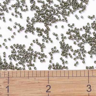 MIYUKI Delica Beads X-SEED-J020-DB0657-1