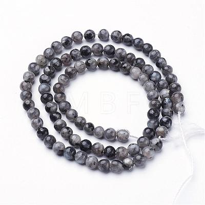Natural Larvikite Beads Strands GSR4mmC128-1