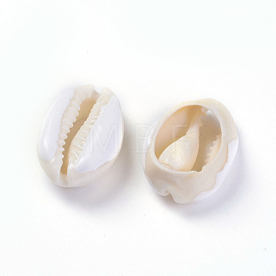 Cowrie Shell Beads BSHE-G019-02F-1