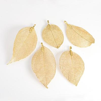 Electroplated Natural Leaf Big Pendants IFIN-Q119-01J-1