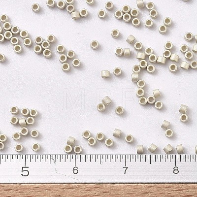 MIYUKI Delica Beads X-SEED-J020-DB0335-1