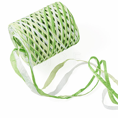 Raffia Twine Yarn OCOR-TAC0025-009D-1