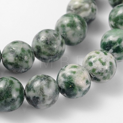 Gemstone Beads Strands X-GSR006-1