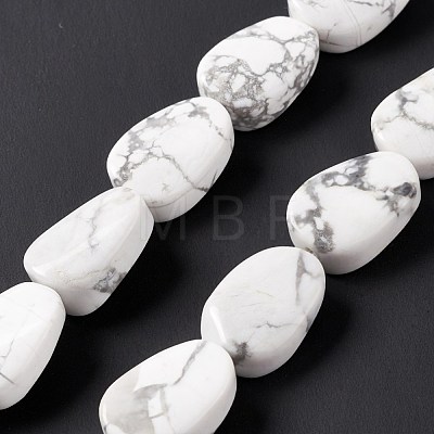 Natural Howlite Beads Strands G-M208-13-1