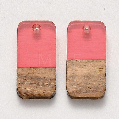 Resin & Walnut Wood Pendants RESI-S384-008A-1