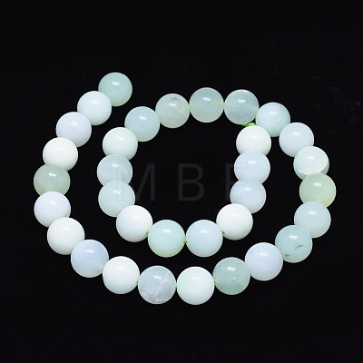 Natural Green Opal Beads Strands G-O180-07-12mm-1