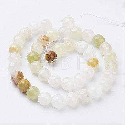 Natural Gemstone Beads Strands GSR10mmC008-1