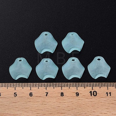 Transparent Acrylic Beads MACR-S373-106-D04-1