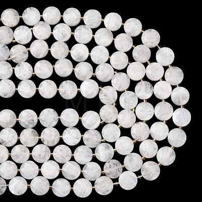 Natural Rainbow Moonstone Beads Strands G-L654-N05-01-1