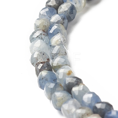 Natural Kyanite Beads Strands G-G989-B01-1