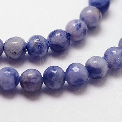 Natural Sodalite Beads Strands G-N0203-01-3mm-1