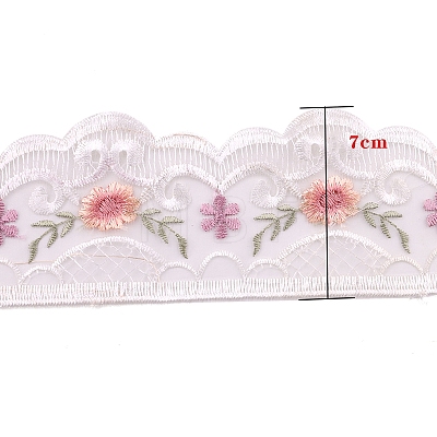 Polyester Lace Trim Ribbons PW-WG55501-02-1-1