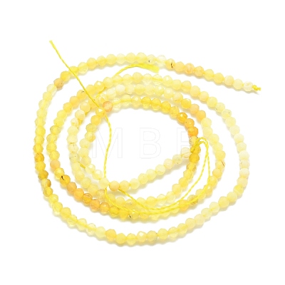 Natural Yellow Opal Beads Strands G-P457-A01-18-1