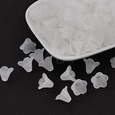 Frosted Acrylic Beads PL692-13-1
