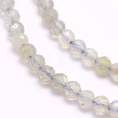 Natural Labradorite Beads Strands G-F509-03-3mm-1