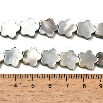 Natural Black Lip Shell Beads Strands SHEL-M021-02A-1