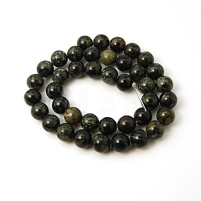 Natural Kambaba Jasper Beads Strands G-G394-10mm-1