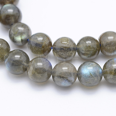 Natural Labradorite Beads Strands G-P336-19-8mm-1