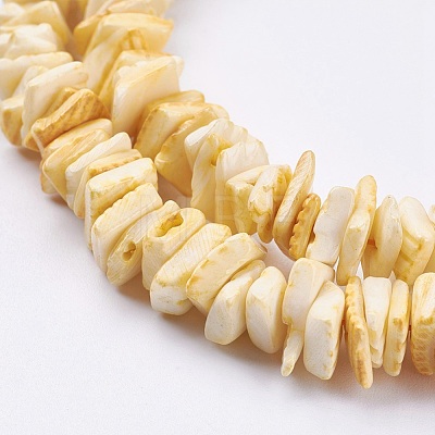 Natural Sea Shell Beads Strands BSHE-K012-08B-1