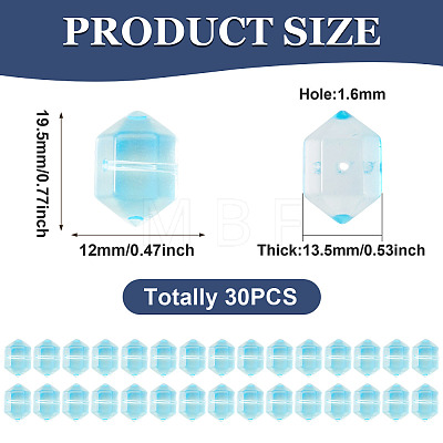30Pcs Transparent Handmade Lampwork Beads LAMP-TADJ0001-12E-1