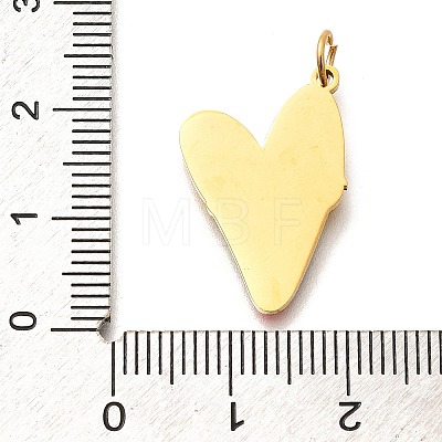 Pride 304 Stainless Steel Enamel Pendants LS-STAS-B079-01G-04-1