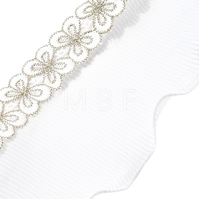 Polyester Lace Trim Ribbon OCOR-XCP0002-02-1