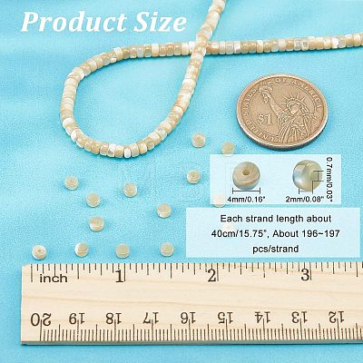  1 Strand Natural Trochid Shell/Trochus Shell Beads Strands BSHE-NB0001-18-1