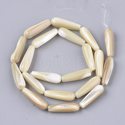 Natural Trochid Shell/Trochus Shell Beads Strands SSHEL-N032-02-1