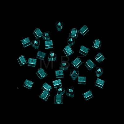 FGB Grade A Frosted Glass Seed Beads SEED-Q040-04A-06-1