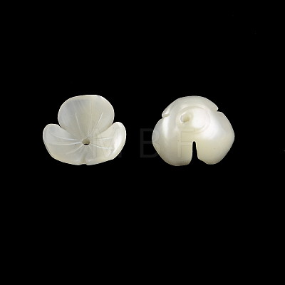 Flower Natural Trochid Shell/Trochus Shell Beads SSHEL-F290-05B-A-1