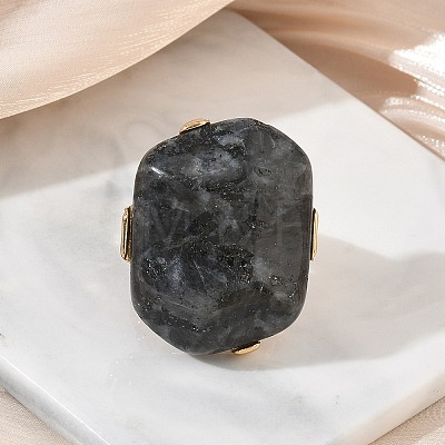 Natural Labradorite & Alloy Finger Rings for Women RJEW-G375-01G-05-1