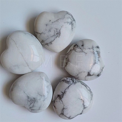 Natural Howlite Display Decorations PW-WG37563-10-1