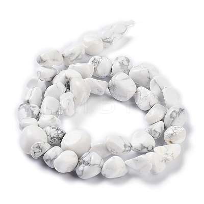 Natural Howlite Beads Strands G-K337-06-1