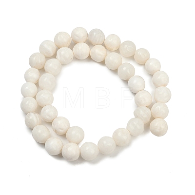 Natural White Shell Beads Strands BSHE-U001-01A-1