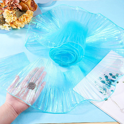 5 Yards Polyester Ruffled Ribbon OCOR-TA0004-06E-1
