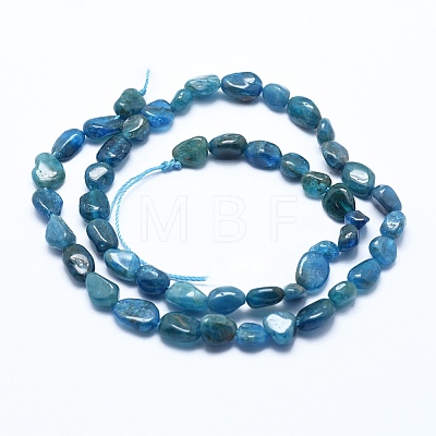 Natural Apatite Beads Strands G-E483-41A-1