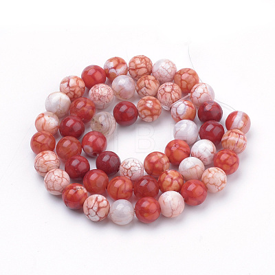 Natural Weathered Agate Beads Strands G-S249-07-10mm-1